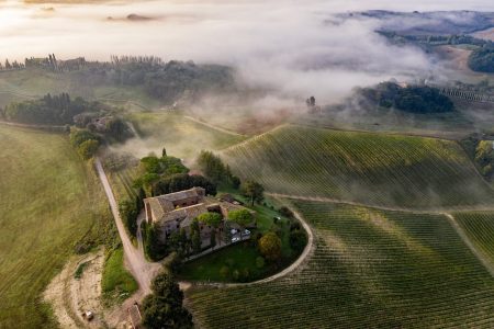 CASTELLO TRICERCHI ROSSO DI MONTALCINO DOC - obrazek 11