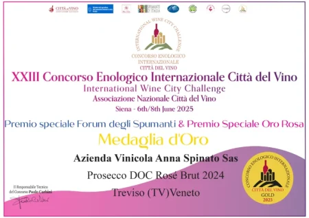 ANNA SPINATO PROSECCO ROSÉ MILLESIMATO DOC BRUT 200 ML - obrazek 5