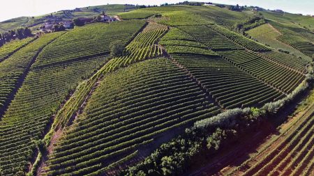 ALBINO ROCCA PIEMONTE CORTESE "LA ROCCA" DOC - obrazek 5