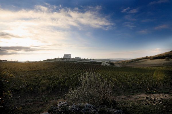 TENUTE LOMBARDO UNÀNIME ROSSO TERRE SICILIANE IGP