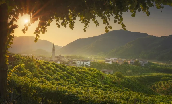 ANNA SPINATO "ZERO BLUSH" ROSÉ SPARKLING SWEET GRAPE JUICE 0%