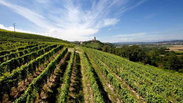 ALBINO ROCCA PIEMONTE CORTESE "LA ROCCA" DOC