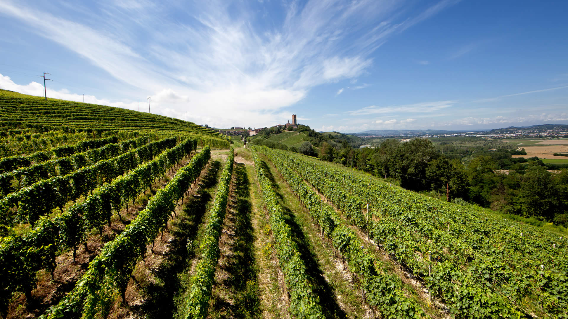 ALBINO ROCCA PIEMONTE CORTESE "LA ROCCA" DOC - obrazek 6
