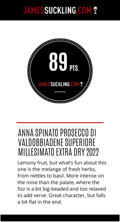 ANNA SPINATO VALDOBBIADENE PROSECCO SUPERIORE DOCG EXTRA DRY - obrazek 8