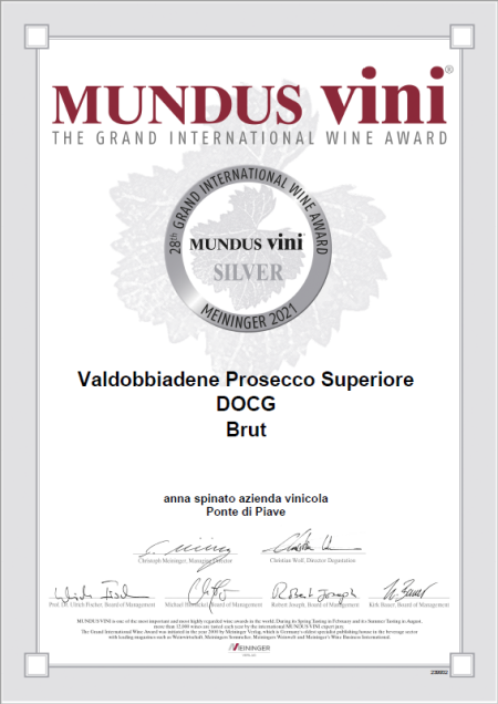 ANNA SPINATO VALDOBBIADENE PROSECCO SUPERIORE DOCG BRUT - obrazek 11