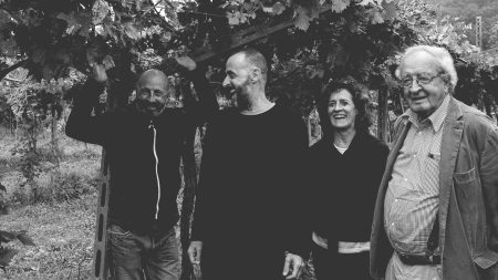 AZIENDA AGRICOLA CLEMENTI AMARONE DELLA VALPOLICELLA CLASSICO DOCG - obrazek 9