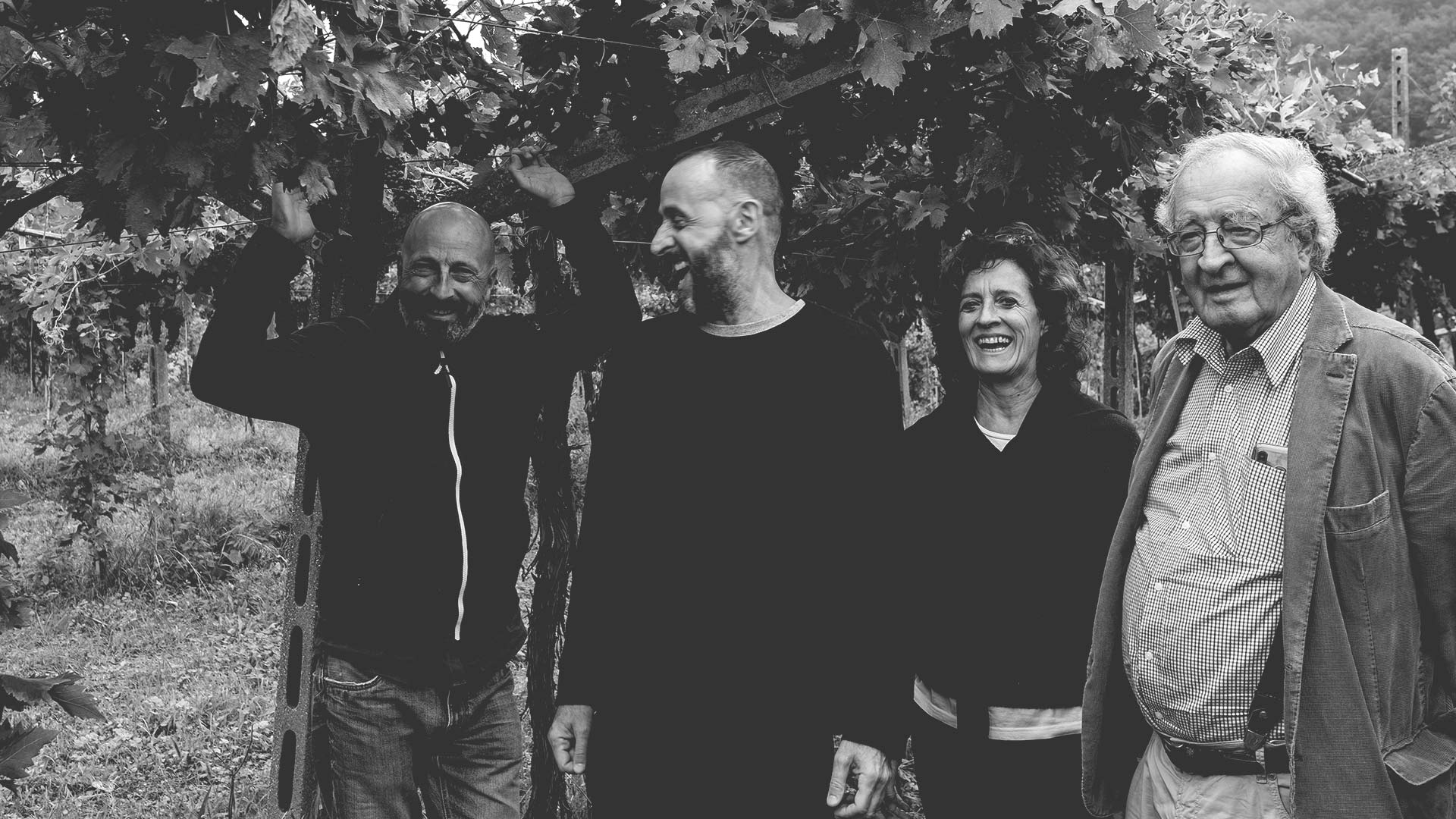 AZIENDA AGRICOLA CLEMENTI AMARONE DELLA VALPOLICELLA CLASSICO DOCG - obrazek 9