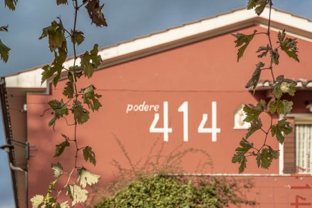 PODERE 414 TREBBIANO TOSCANO IGT BIO - obrazek 11