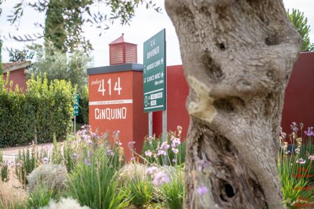 PODERE 414 TREBBIANO TOSCANO IGT BIO - obrazek 13