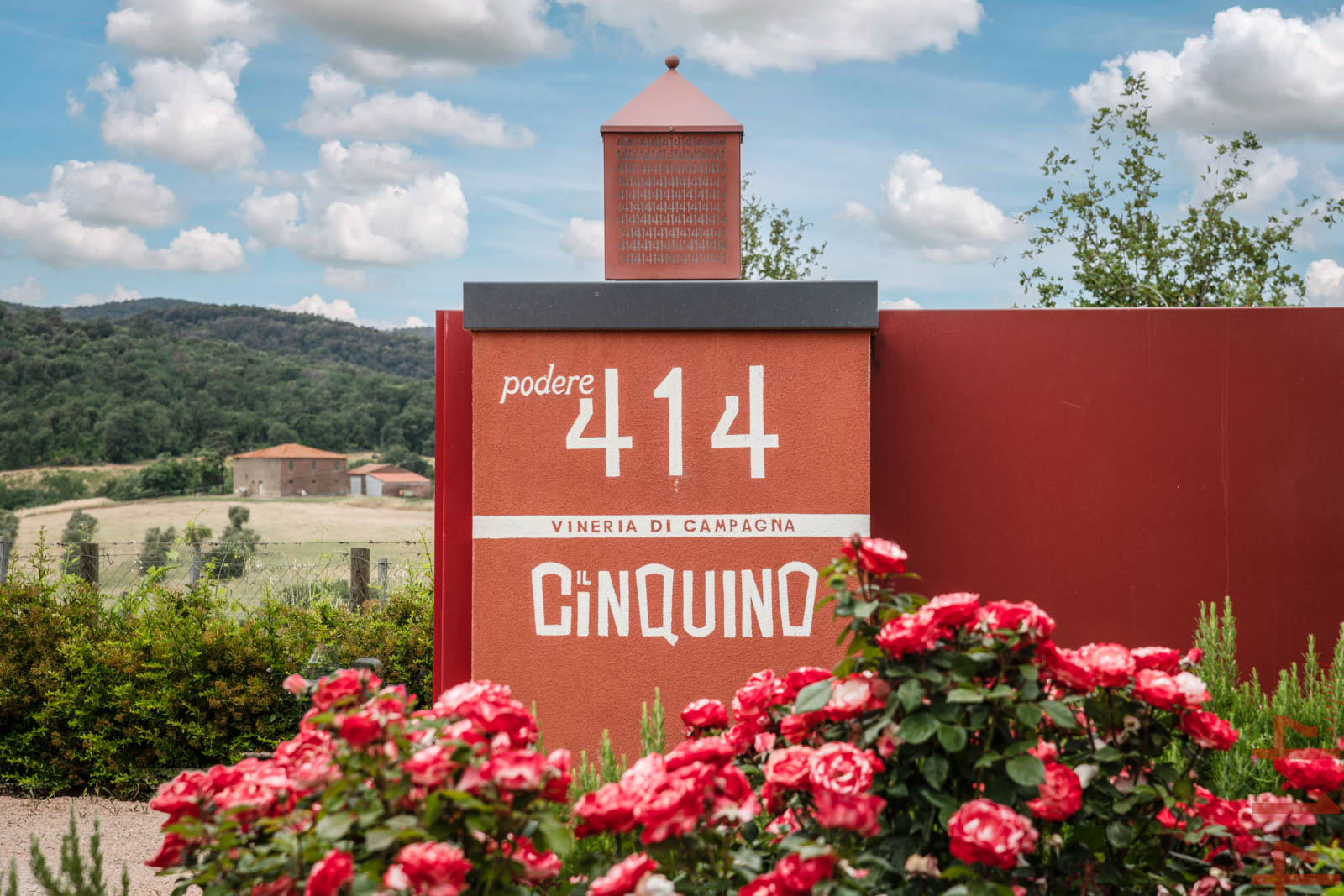 PODERE 414 TREBBIANO TOSCANO IGT BIO - obrazek 12