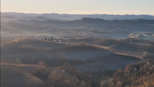 RÉVA BARBERA D'ALBA SUPERIORE DOC
