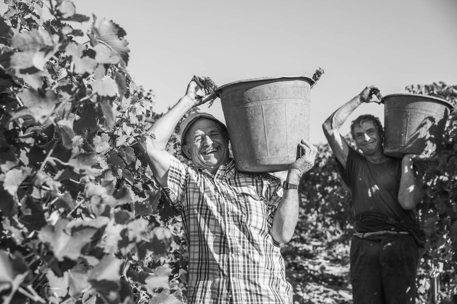 TENUTE LOMBARDO UNÀNIME ROSSO TERRE SICILIANE IGP - obrazek 11