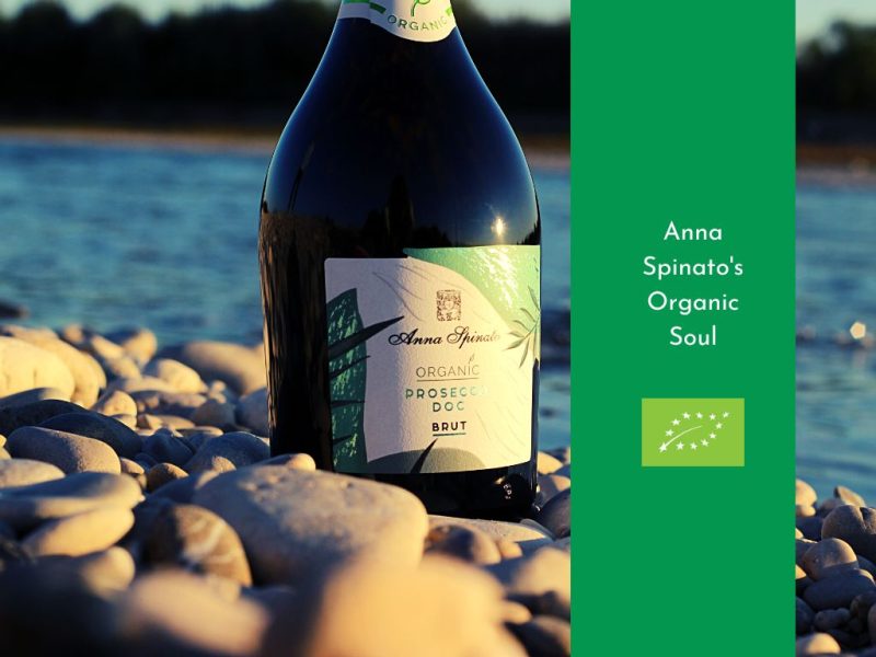 ANNA SPINATO ORGANIC PROSECCO MILLESIMATO DOC BRUT - obrazek 4