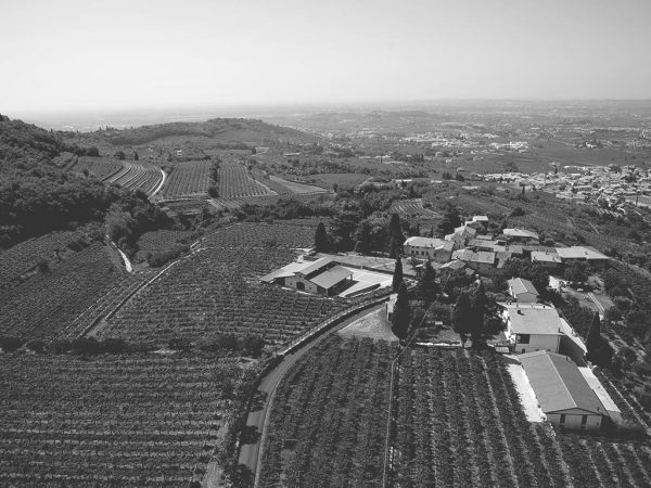 AZIENDA AGRICOLA CLEMENTI AMARONE DELLA VALPOLICELLA CLASSICO DOCG