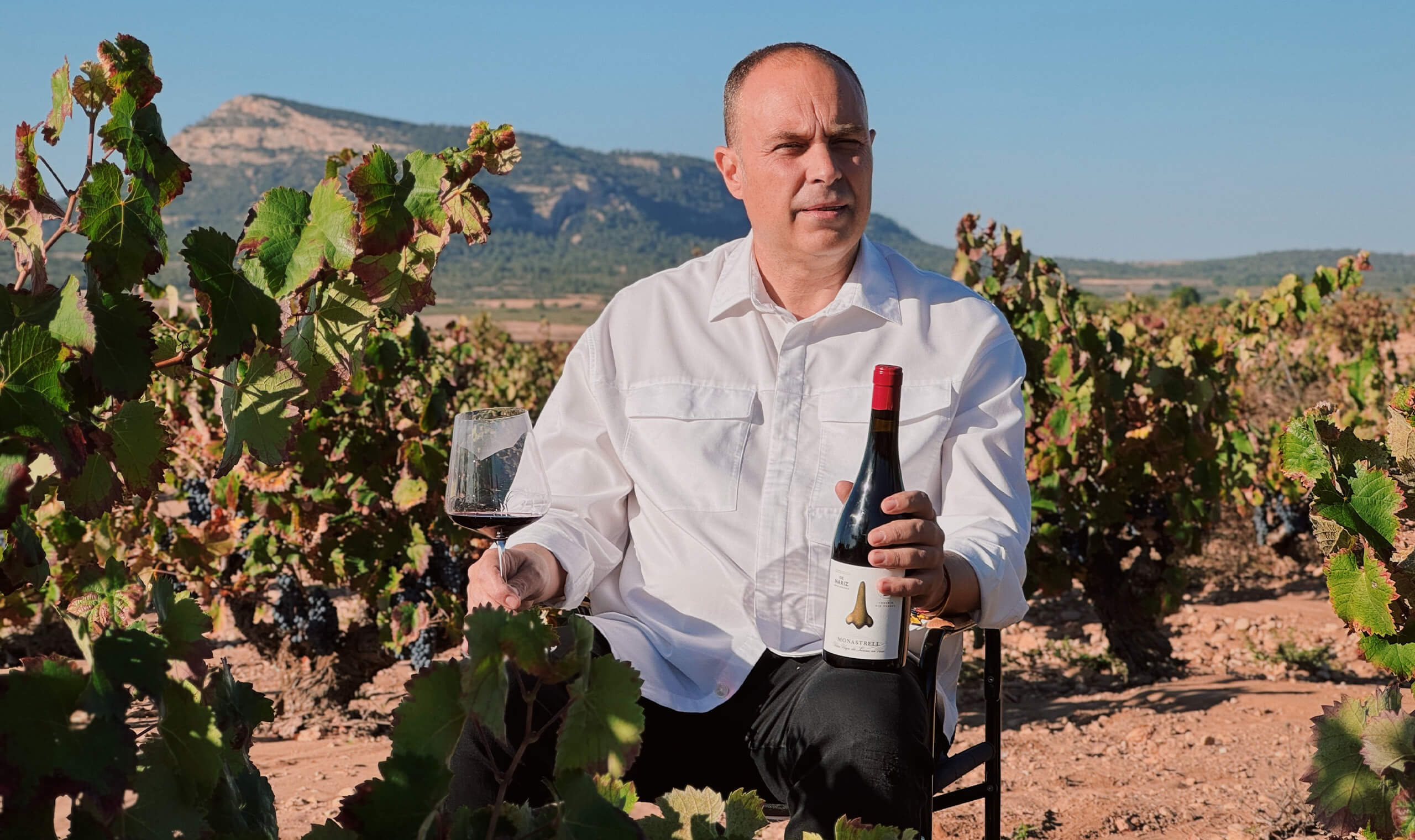 DE NARIZ COUPAGE MONASTRELL - SYRAH - obrazek 11