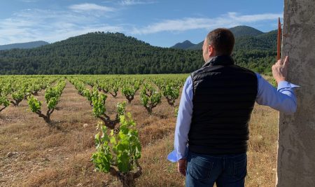 DE NARIZ COUPAGE MONASTRELL - SYRAH - obrazek 10