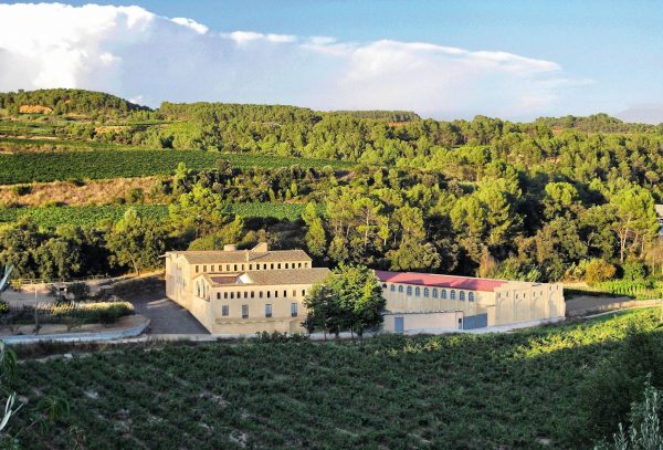 MOLÍ PARELLADA BOQUERIA 100% MACABEO CAVA RESERVA BRUT NATURE ECO