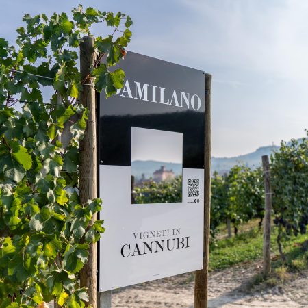 DAMILANO BARBERA D'ALBA DOC "LABLÙ" - obrazek 13