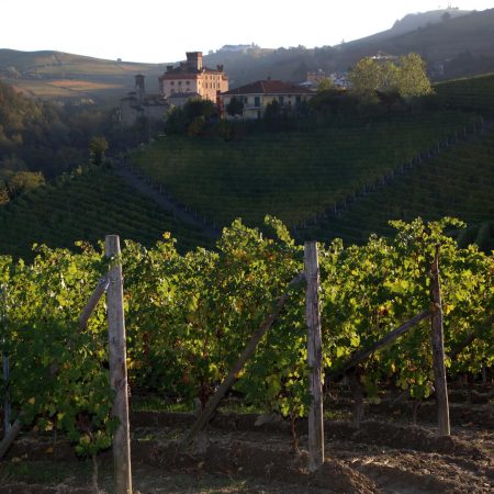 DAMILANO BARBERA D'ALBA DOC "LABLÙ" - obrazek 11