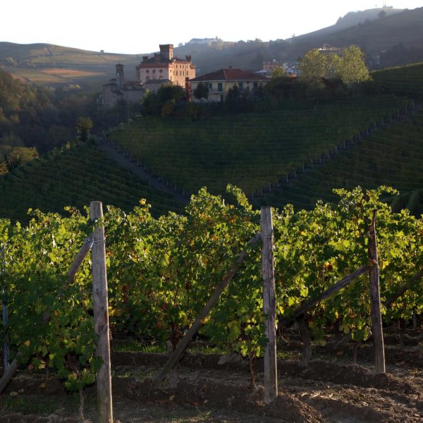 DAMILANO BARBERA D'ALBA DOC "LABLÙ"