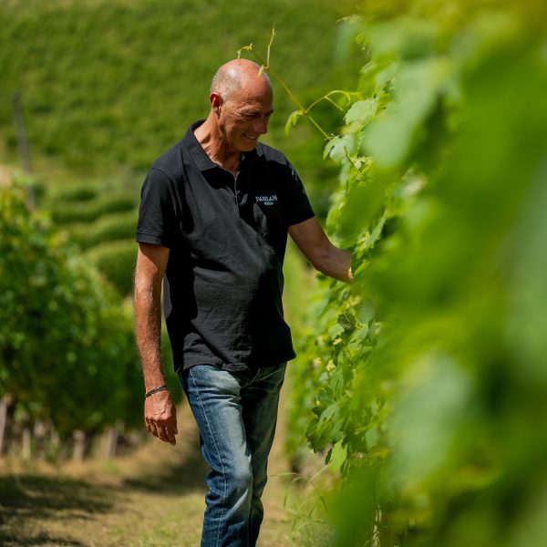 DAMILANO BARBERA D'ALBA DOC "LABLÙ"