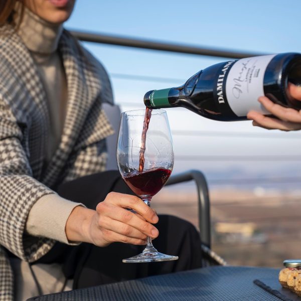 DAMILANO LANGHE DOC NEBBIOLO "MARGHE"