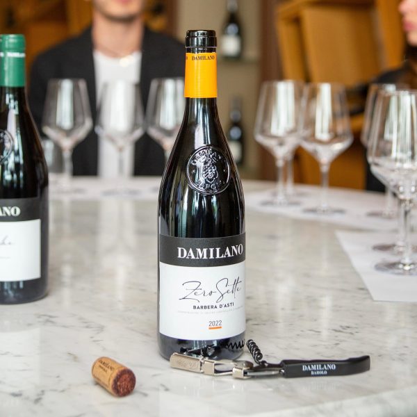 DAMILANO BARBERA D'ASTI DOCG "ZERO SETTE"