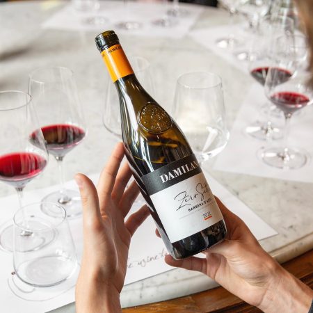 DAMILANO BARBERA D'ASTI DOCG "ZERO SETTE" - obrazek 3