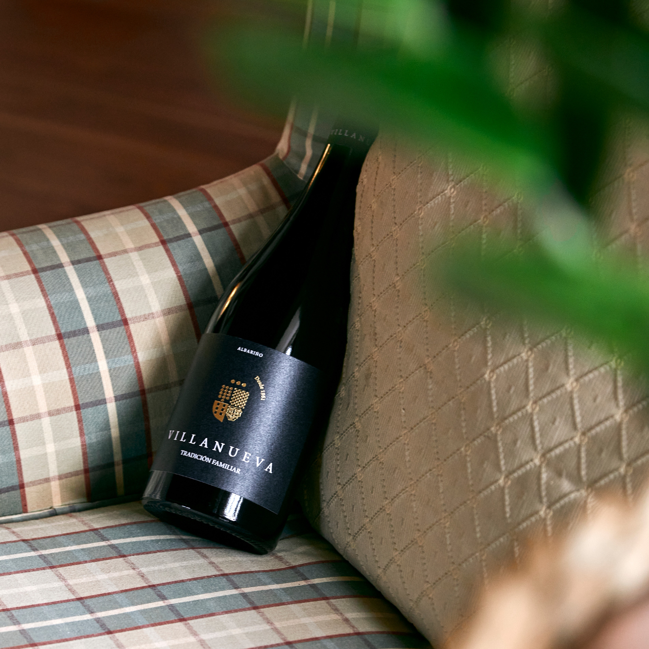 BODEGAS VILLANUEVA VILLANUEVA ALBARIÑO D.O. RIAS BAIXAS - obrazek 2