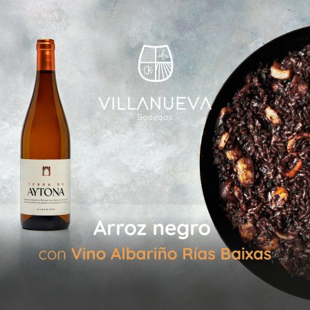 BODEGAS VILLANUEVA TERRA DE AYTONA ALBARIÑO D.O. RIAS BAIXAS - obrazek 6