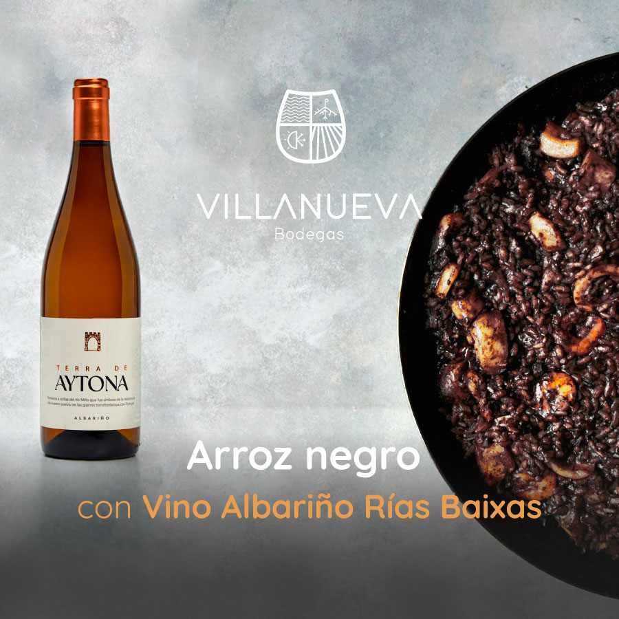 BODEGAS VILLANUEVA TERRA DE AYTONA ALBARIÑO D.O. RIAS BAIXAS - obrazek 6
