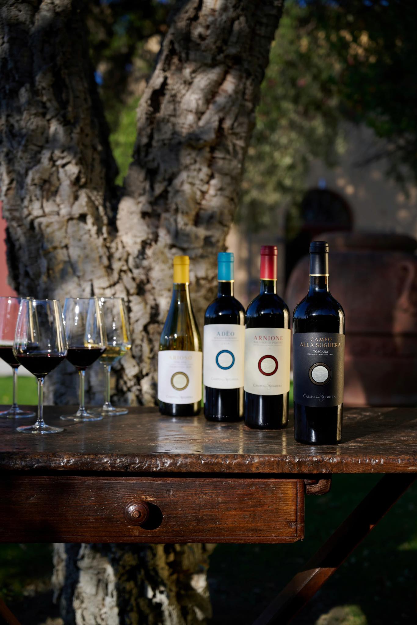 CAMPO ALLA SUGHERA ADÈO BOLGHERI ROSSO DOC - obrazek 11