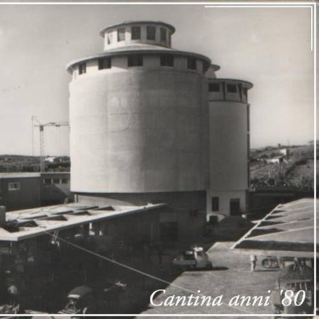 CANTINA DI CALASETTA DESEÁ CARIGNANO DEL SULCIS DOC - obrazek 17