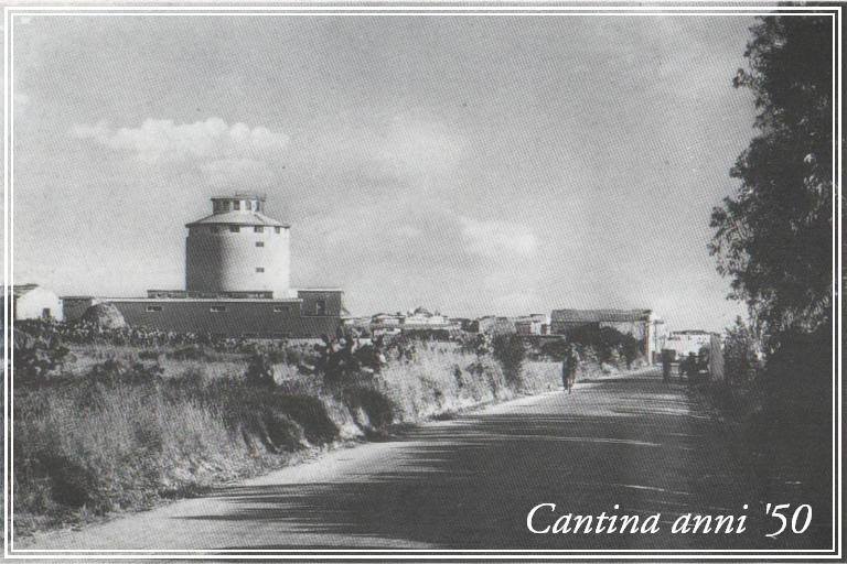 CANTINA DI CALASETTA DESEÁ CARIGNANO DEL SULCIS DOC - obrazek 16