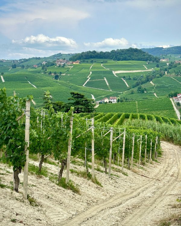 DAMILANO BARBERA D'ALBA DOC "LABLÙ"