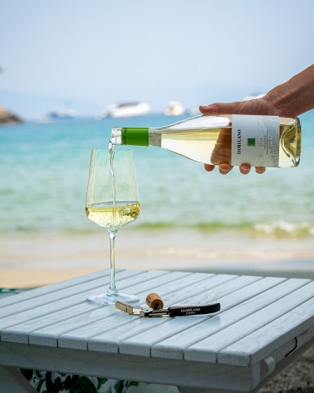 DAMILANO LANGHE DOC ARNEIS - obrazek 4