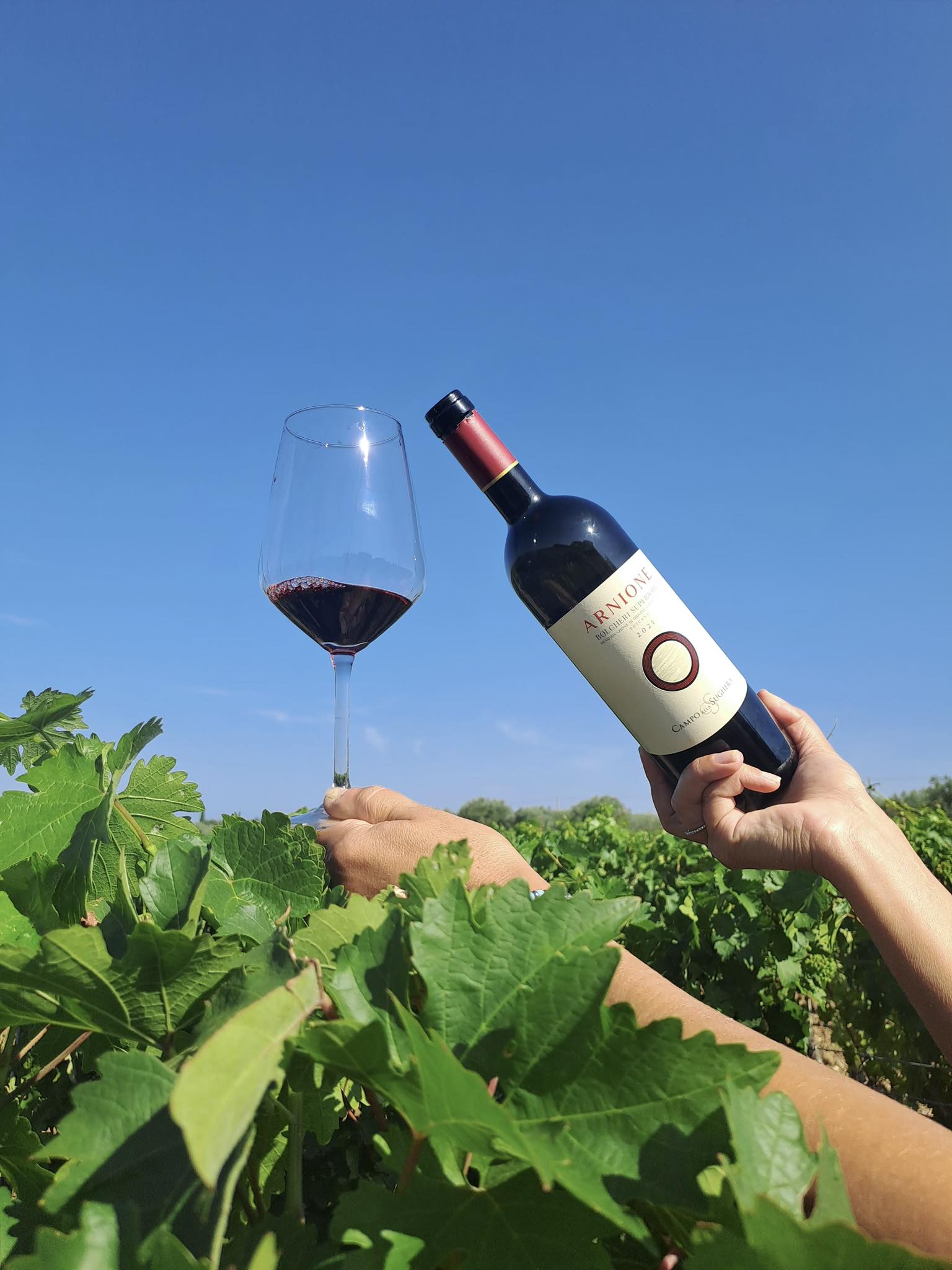 CAMPO ALLA SUGHERA ARNIONE BOLGHERI DOC SUPERIORE - obrazek 12