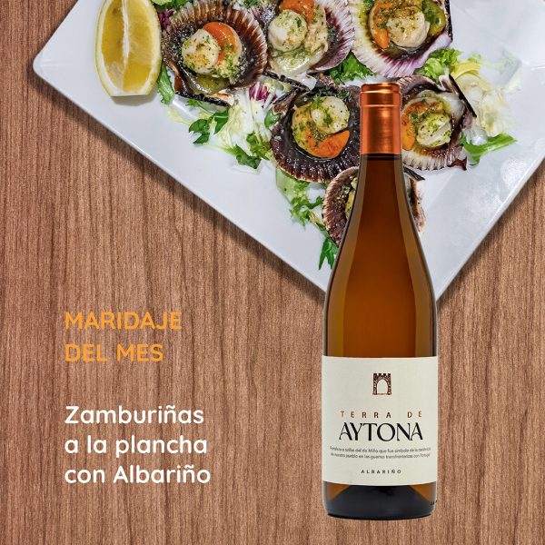 BODEGAS VILLANUEVA TERRA DE AYTONA ALBARIÑO D.O. RIAS BAIXAS