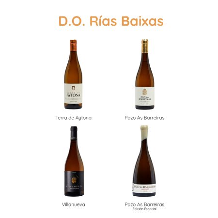 BODEGAS VILLANUEVA VILLANUEVA ALBARIÑO D.O. RIAS BAIXAS - obrazek 6