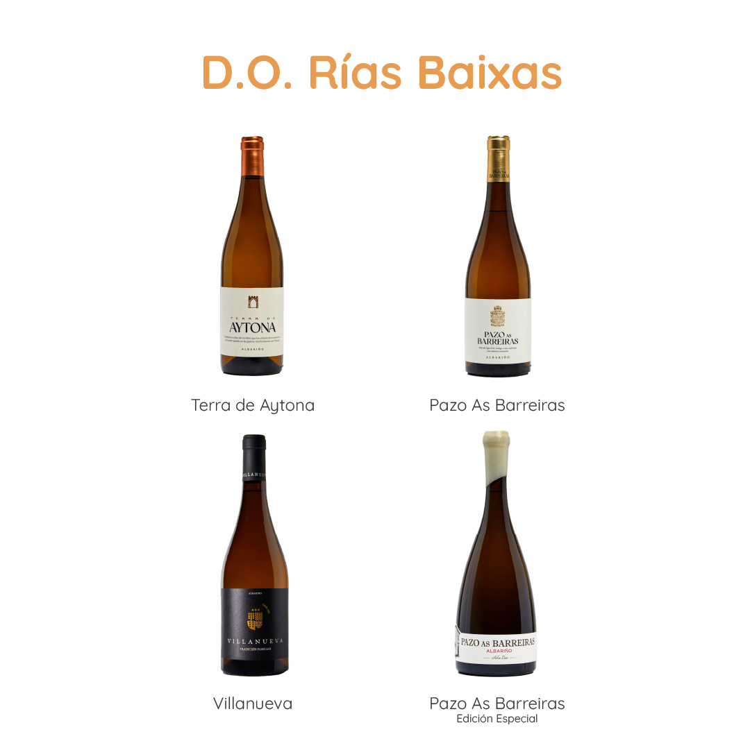 BODEGAS VILLANUEVA VILLANUEVA ALBARIÑO D.O. RIAS BAIXAS - obrazek 6