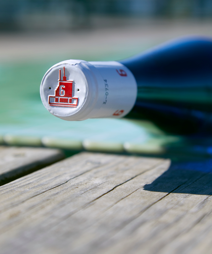 BODEGAS VILLANUEVA COSTA DA BORNEIRA - obrazek 7