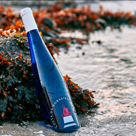 BODEGAS VILLANUEVA COSTA DA BORNEIRA - obrazek 4