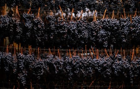 TAGARO PINATARO APPASSIMENTO PUGLIA IGP - obrazek 4