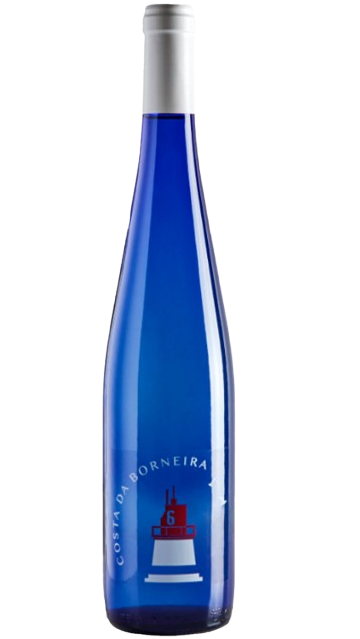 costa BODEGAS VILLANUEVA COSTA DA BORNEIRA