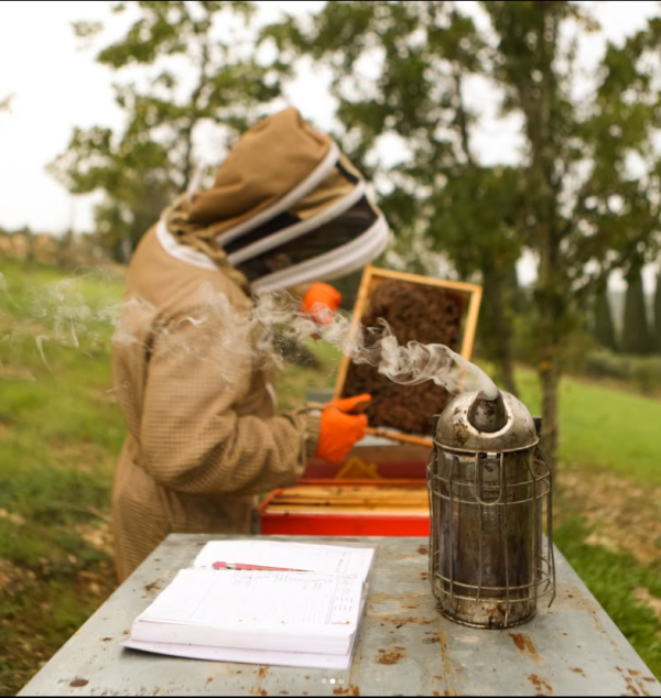 CASTELLO DI MELETO CHIANTI CLASSICO RISERVA DOCG