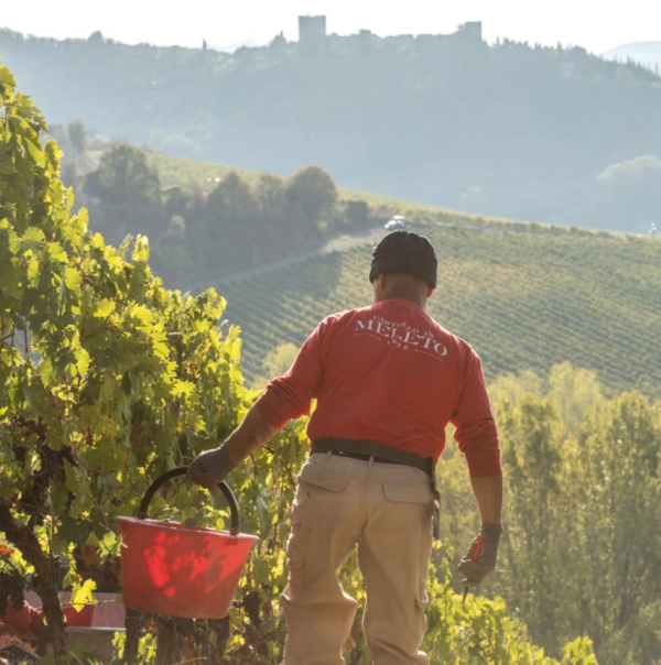 CASTELLO DI MELETO CHIANTI CLASSICO RISERVA DOCG