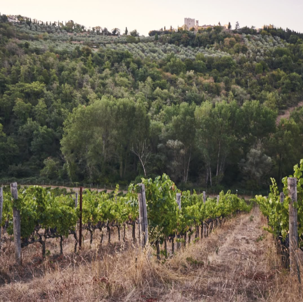 CASTELLO DI MELETO CHIANTI CLASSICO RISERVA DOCG