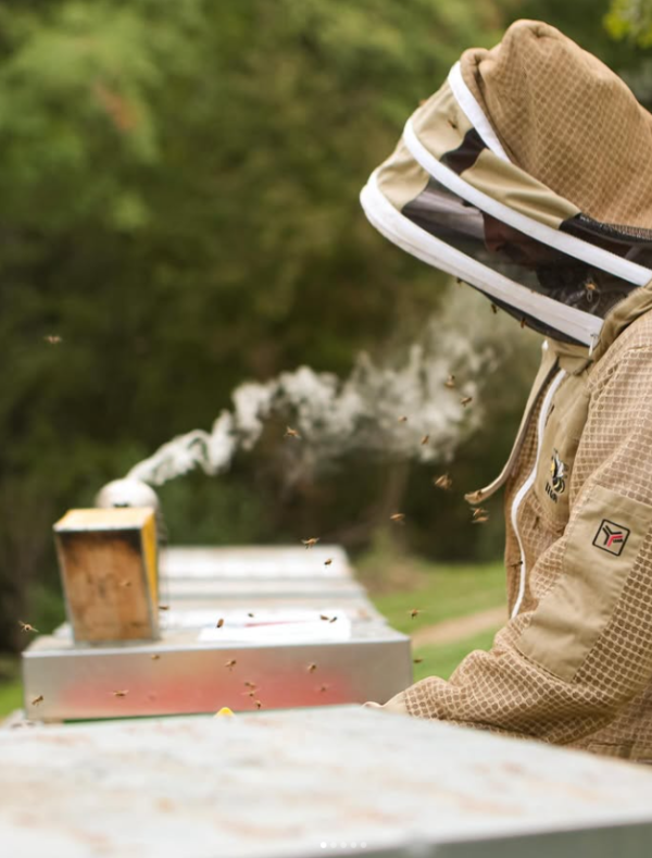 CASTELLO DI MELETO CHIANTI CLASSICO RISERVA DOCG