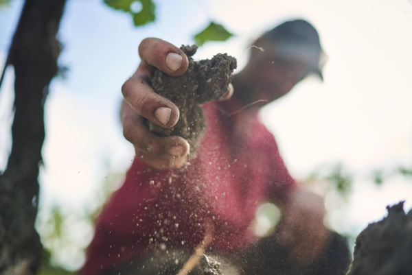CASTELLO DI MELETO CHIANTI CLASSICO RISERVA DOCG