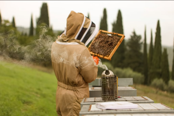 CASTELLO DI MELETO CHIANTI CLASSICO RISERVA DOCG